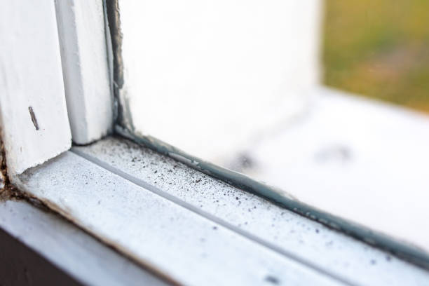 Dehumidification Services in East Kapolei, HI