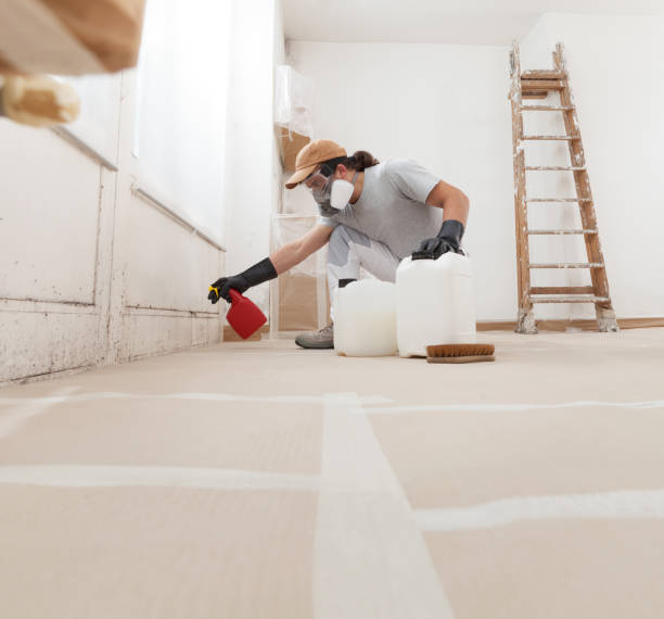 Best Post-Construction Mold Inspection  in East Kapolei, HI